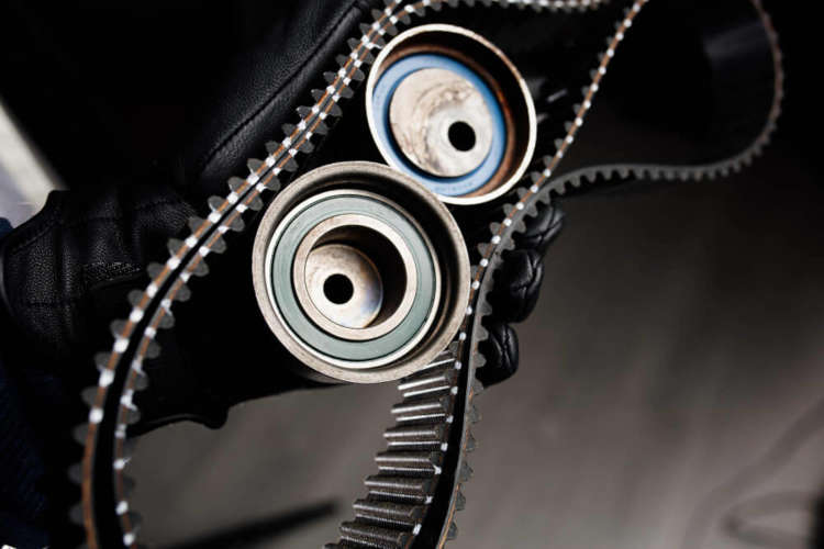 Zahnriemen Zahnriemen